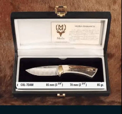 CUCHILLO MUELA COLIBRÍ-7DAM LUJO - Espadas y Más